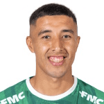 D. Gallardo