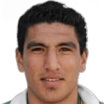L. Jerez Silva